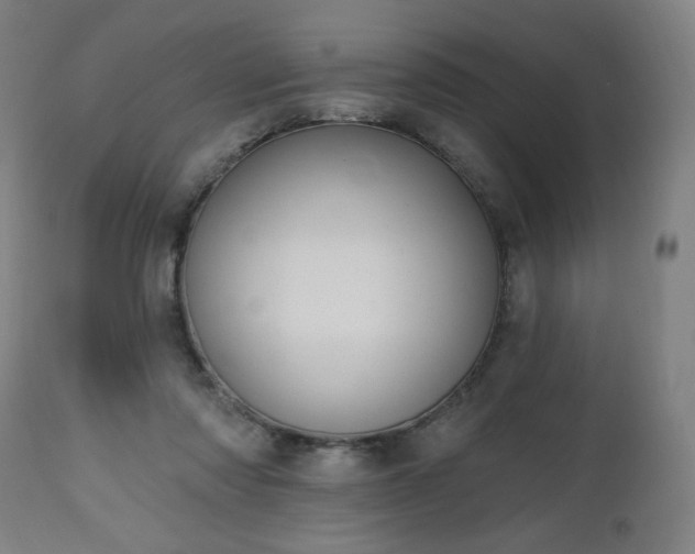 X0000112520310200908241452