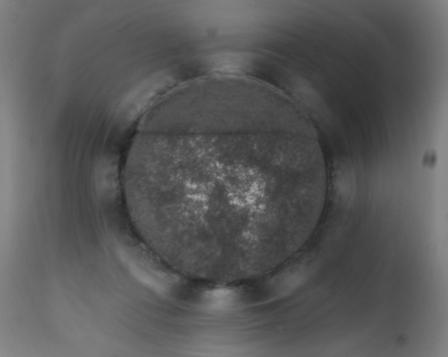 X0000112520312200908241452