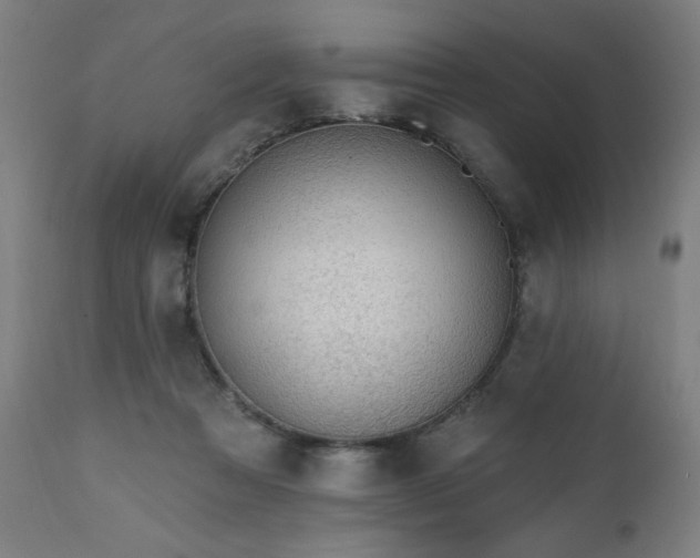 X0000112520313200908241452