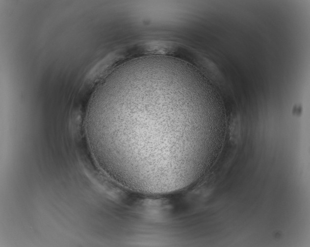 X0000112520314200908241452