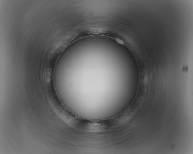 X0000112520315200908241452