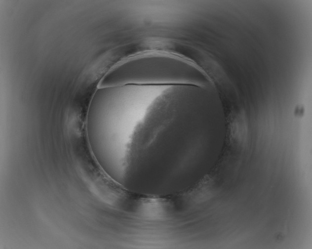 X0000112520316200908241452