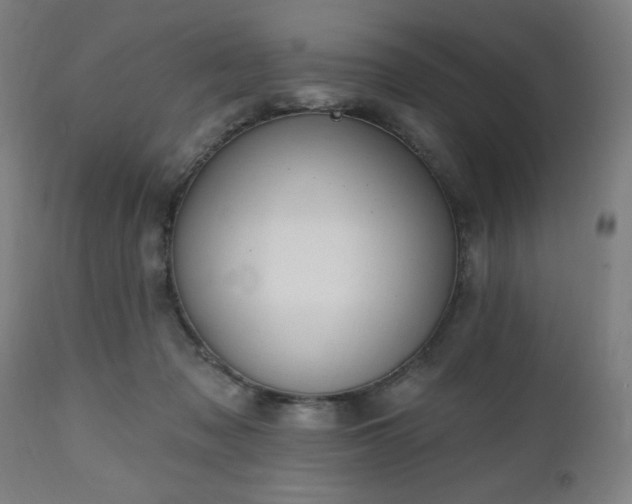 X0000112520317200908241452