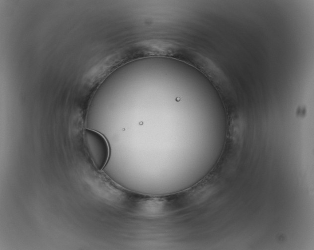 X0000112520318200908241452