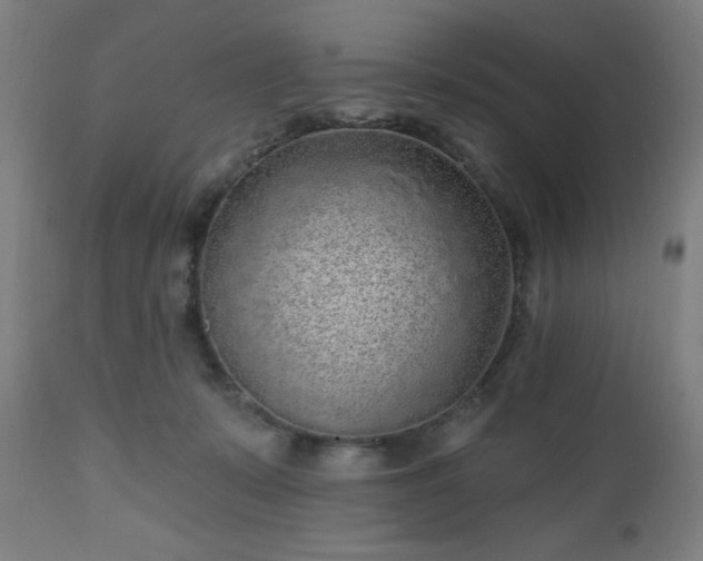 X0000112520319200908241452