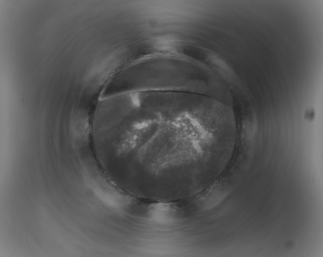X0000112520320200908241452