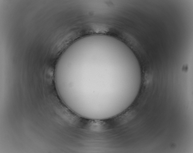 X0000112520321200908241451