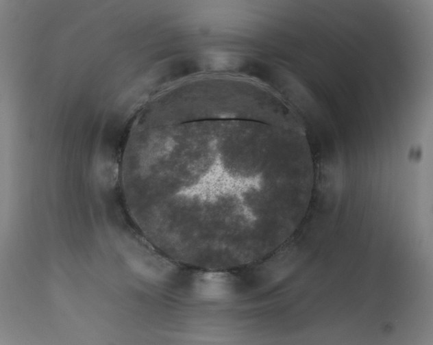 X0000112520324200908241451