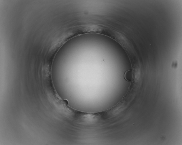 X0000112520326200908241451