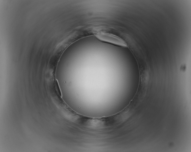 X0000112520327200908241451