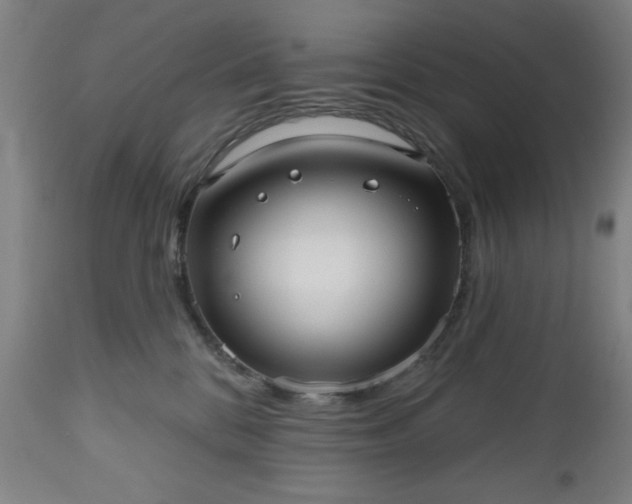 X0000112520328200908241451