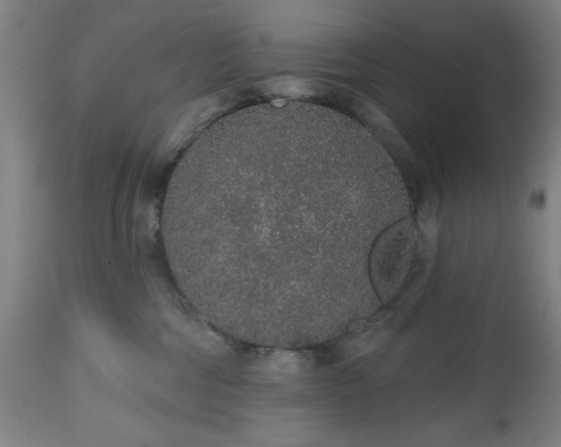 X0000112520330200908241451