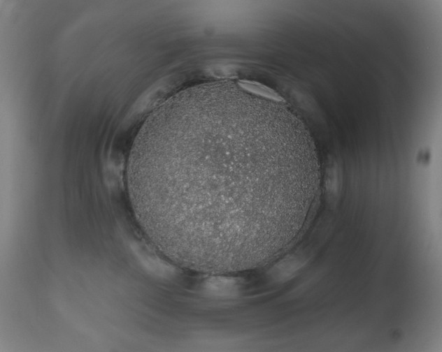X0000112520332200908241451