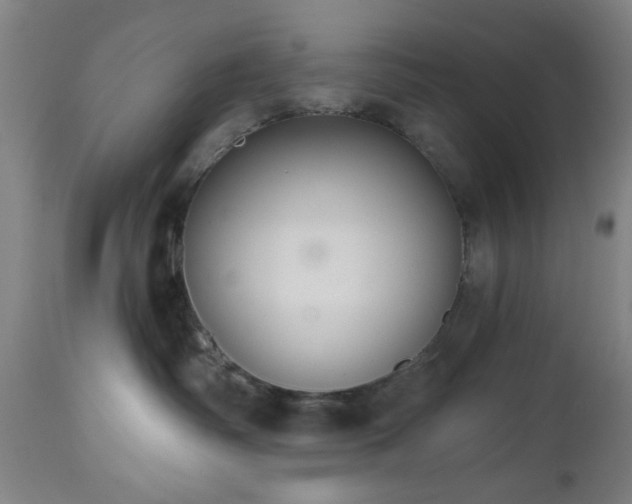 X0000112520334200908241451