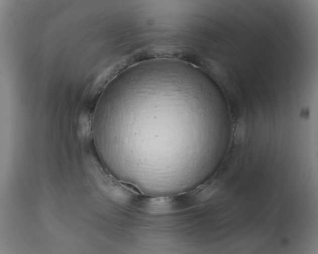 X0000112520335200908241451