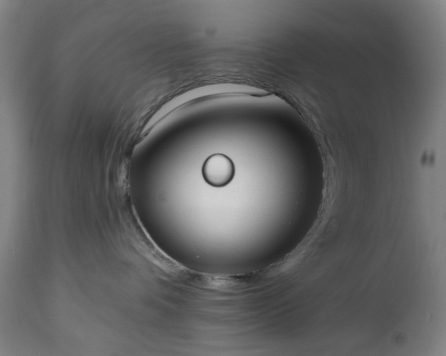 X0000112520336200908241451