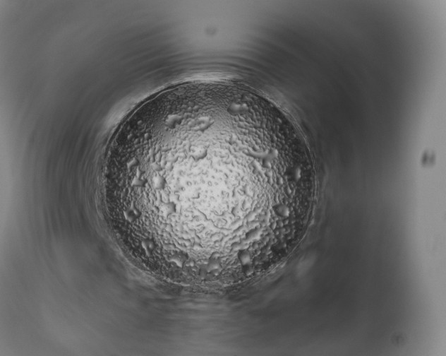 X0000112520337200908241450