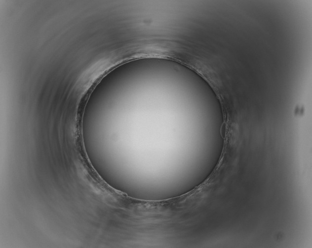X0000112520338200908241450