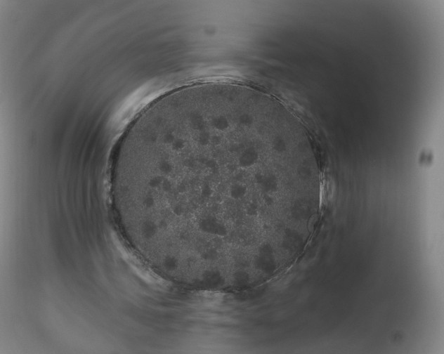 X0000112520339200908241450