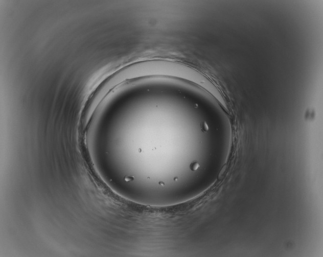 X0000112520340200908241450