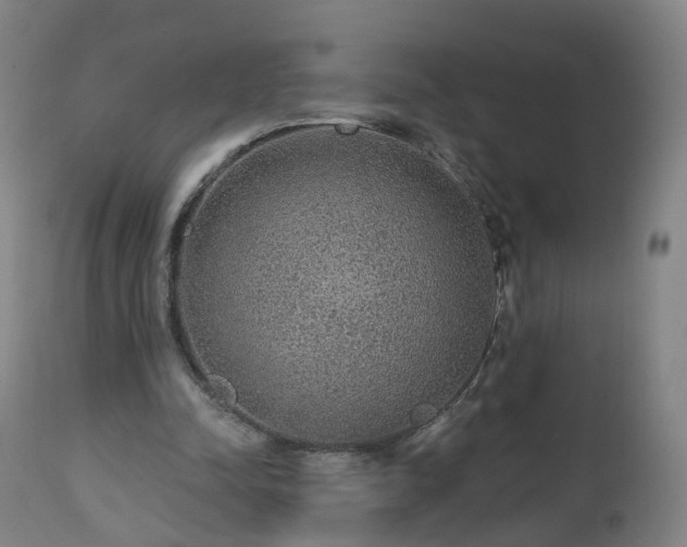 X0000112520342200908241450