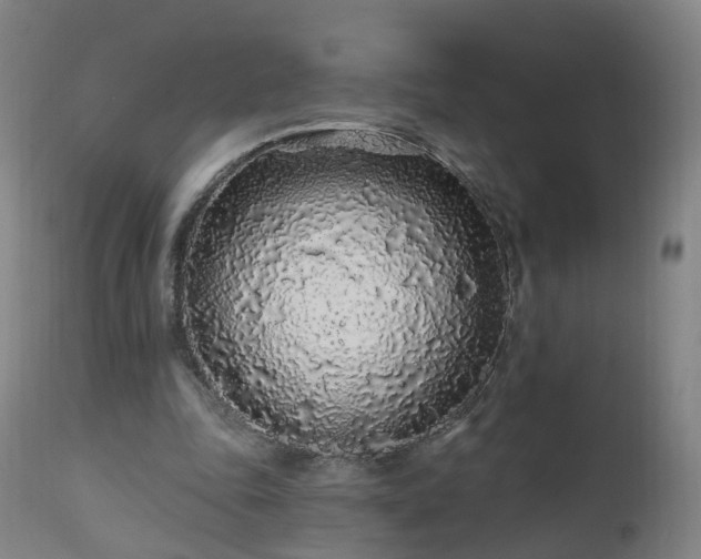 X0000112520343200908241450
