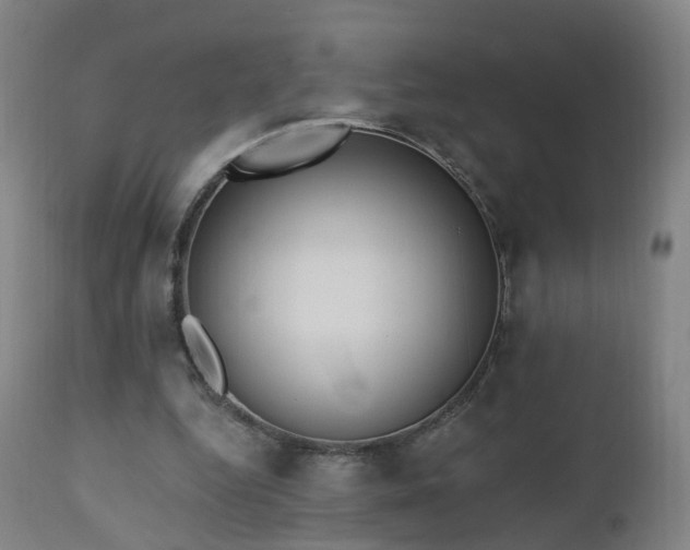 X0000112520344200908241450