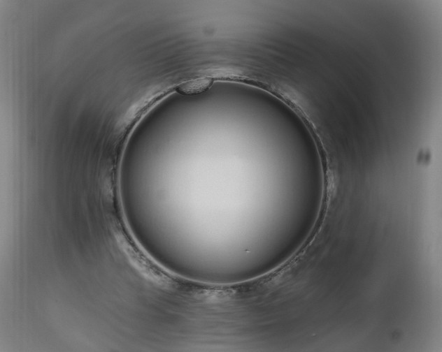 X0000112520345200908241450