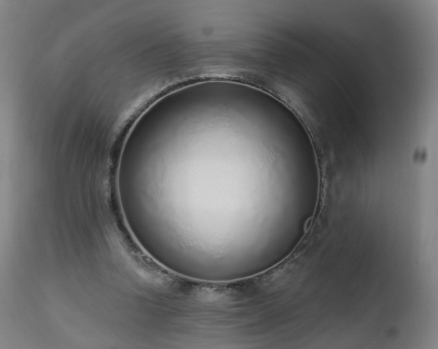 X0000112520346200908241450