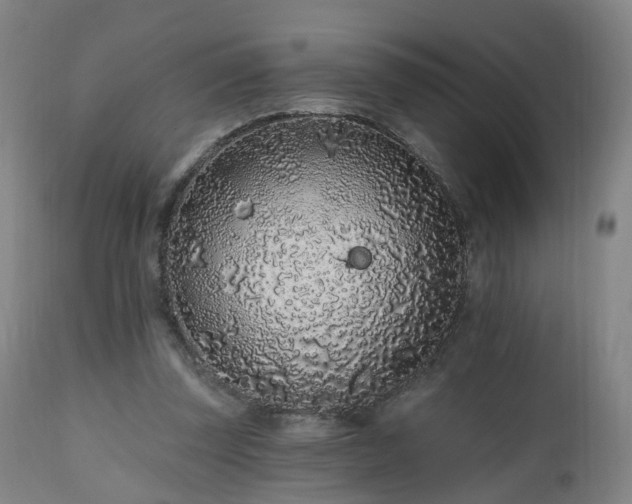 X0000112520347200908241450