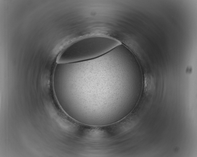 X0000112520348200908241450