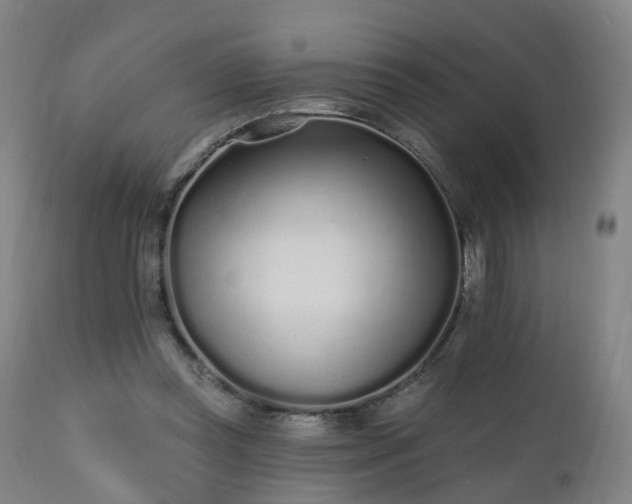 X0000112520349200908241450