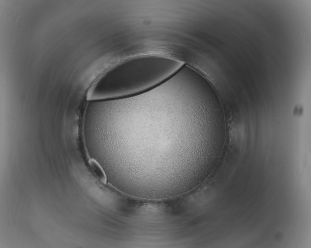 X0000112520350200908241450