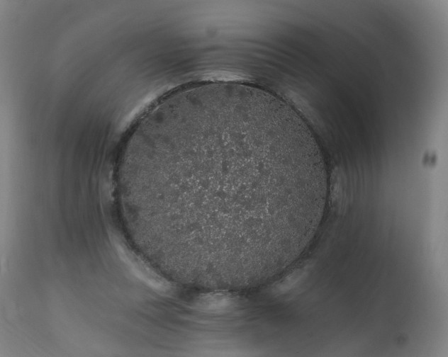 X0000112520351200908241450