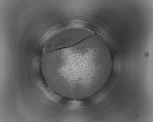 X0000112520352200908241450