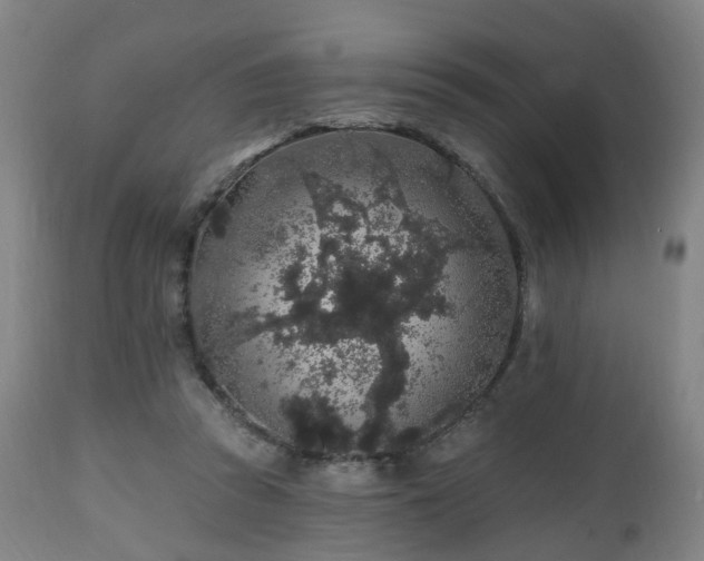 X0000112520353200908241451