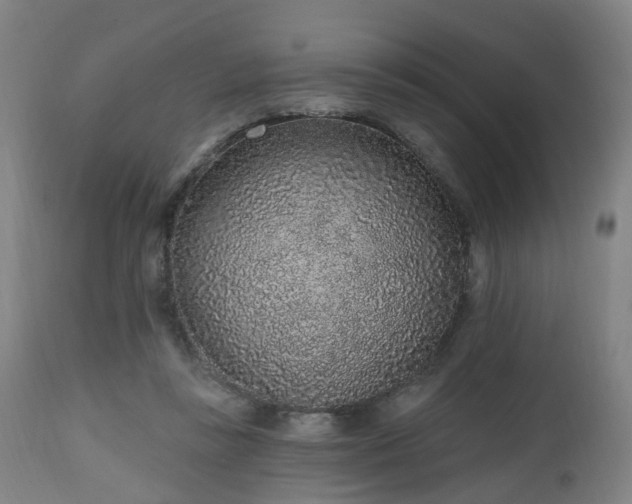X0000112520355200908241451