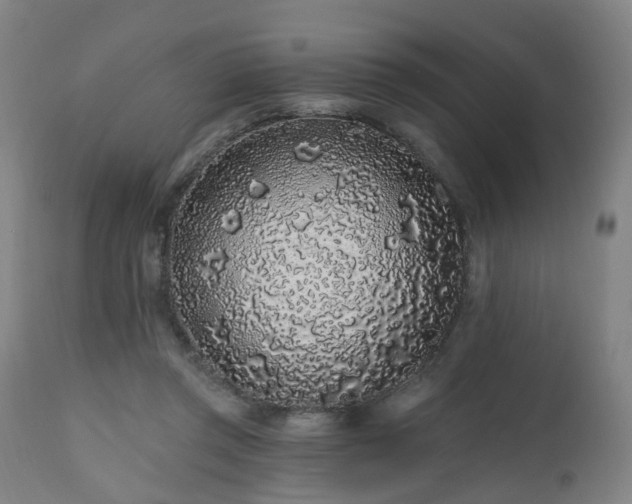 X0000112520357200908241451