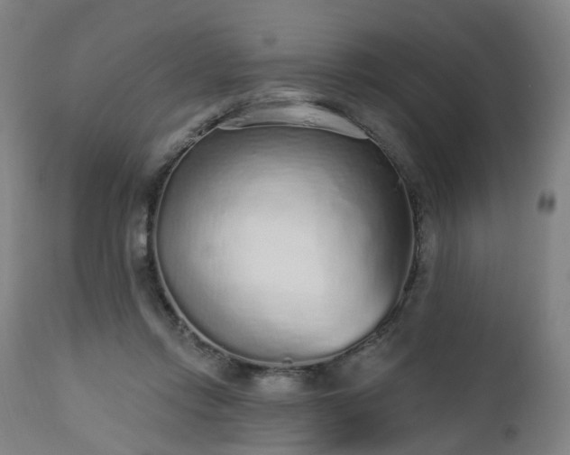 X0000112520358200908241451