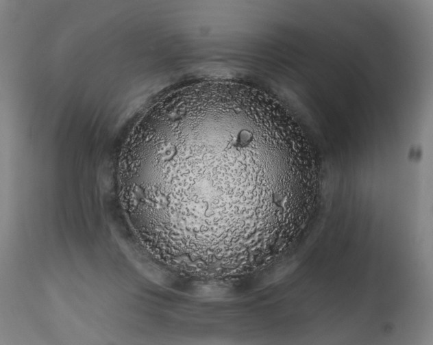 X0000112520359200908241451