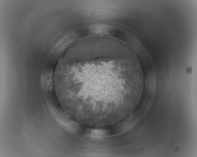 X0000112520360200908241451