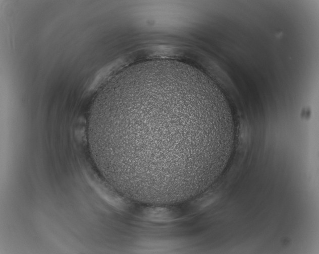 X0000112520361200908241451