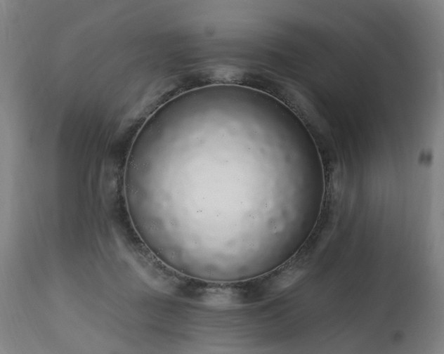 X0000112520363200908241451