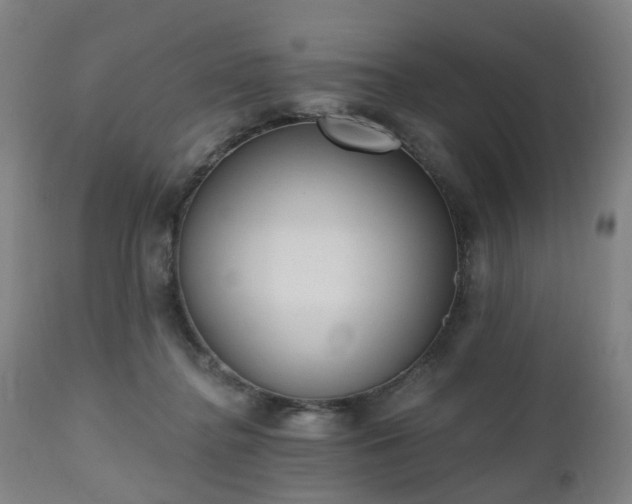 X0000112520364200908241451