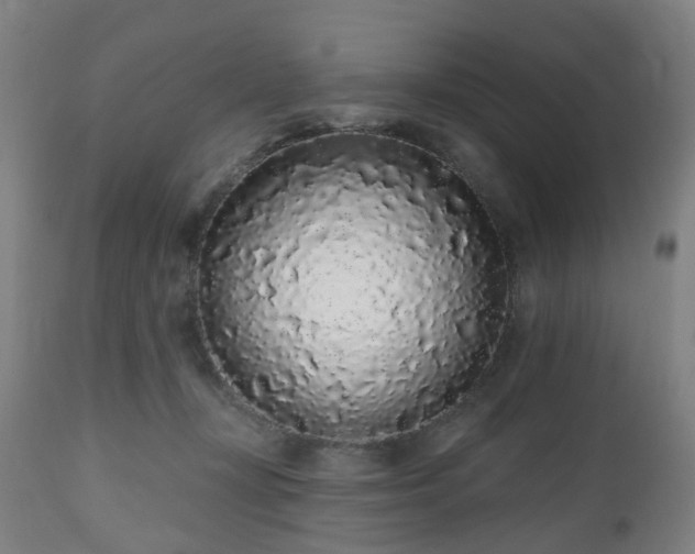 X0000112520367200908241451