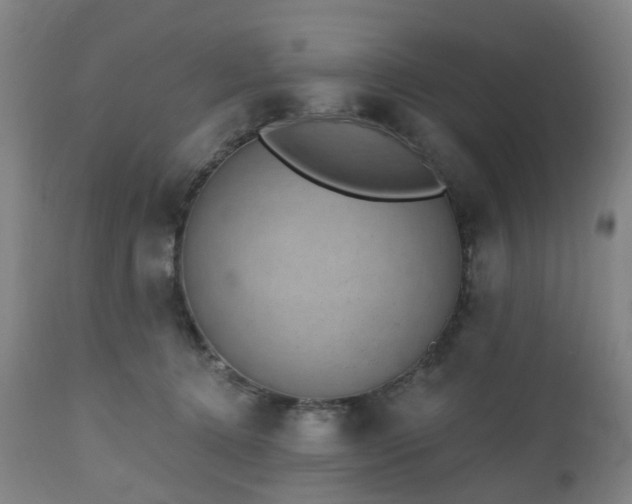 X0000112520368200908241451