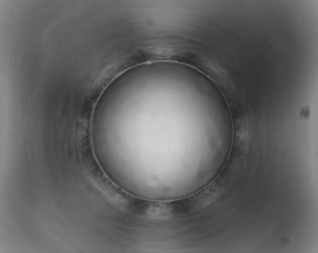 X0000112520369200908241451