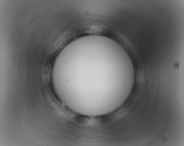 X0000112520370200908241451