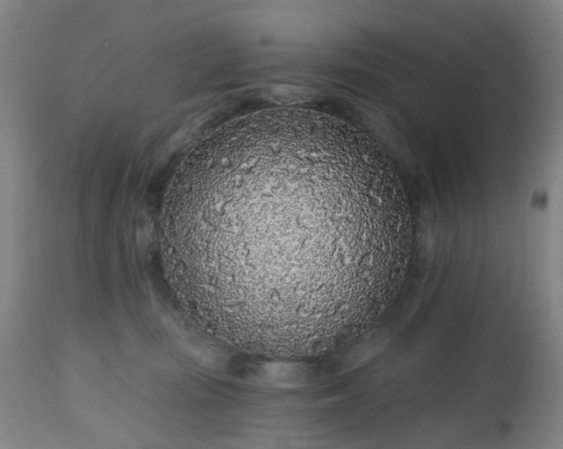 X0000112520371200908241451