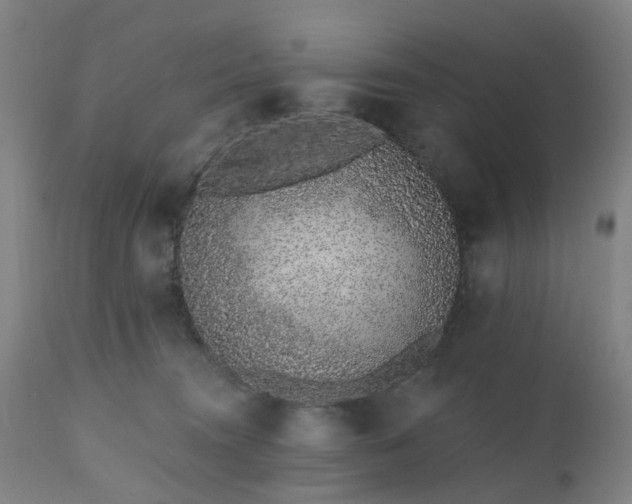 X0000112520372200908241451